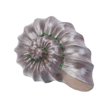 Möbelknopf "Kid Line" Shell